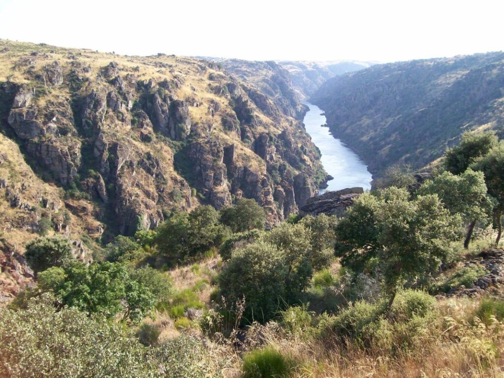 Portugal — John's The Magical Douro